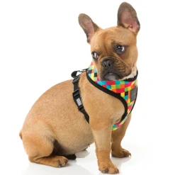 FuzzYard 1983 Dog Harness