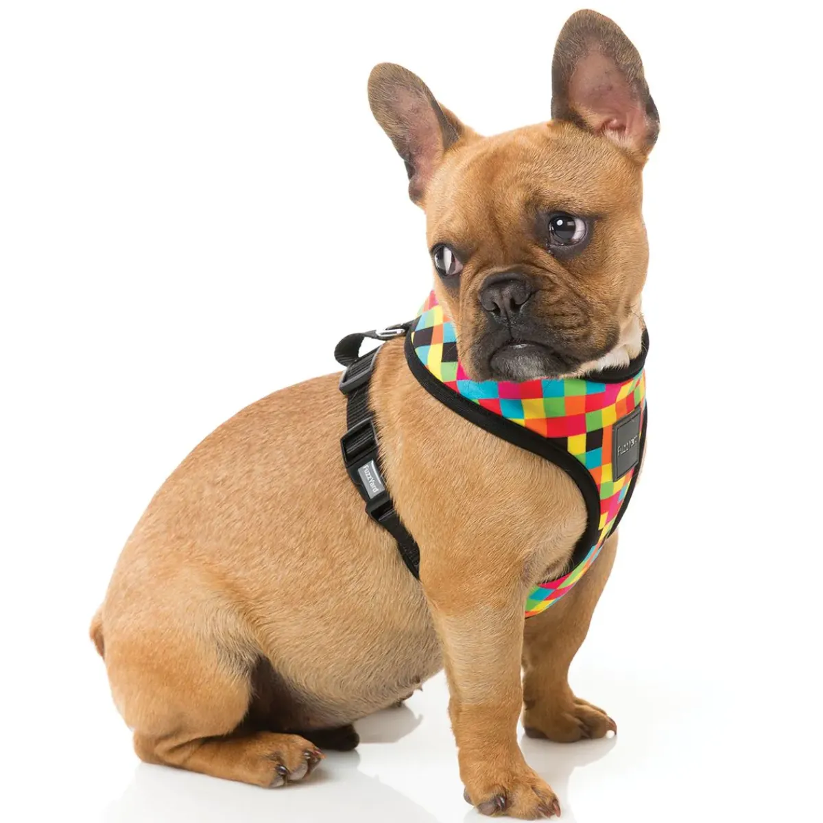 FuzzYard 1983 Dog Harness