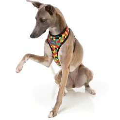 FuzzYard 1983 Dog Harness