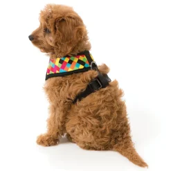 FuzzYard 1983 Dog Harness
