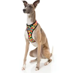 FuzzYard 1983 Dog Harness