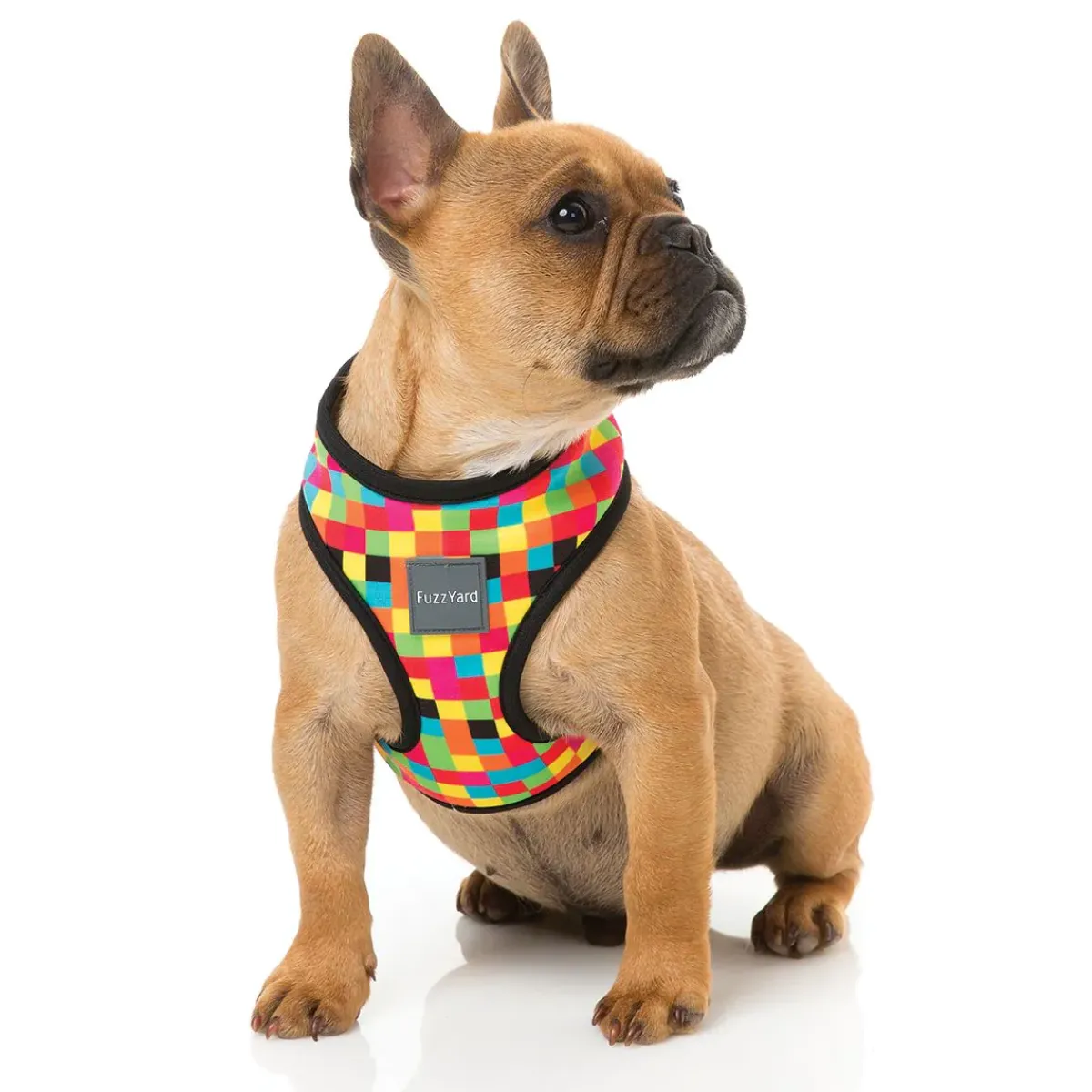 FuzzYard 1983 Dog Harness