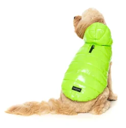 FuzzYard Aeon Hoodie - Lime Green