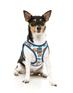 FuzzYard Ahoy There! - Step In Harness