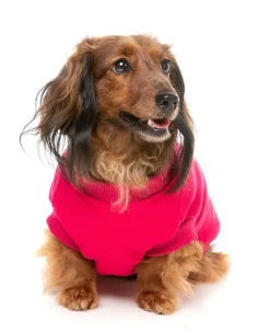 FuzzYard Allday 24 Sweater - Magenta