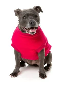 FuzzYard Allday 24 Sweater - Magenta