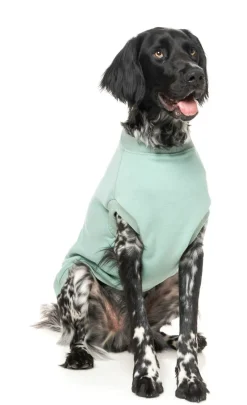 FuzzYard Allday Sweater - Mint