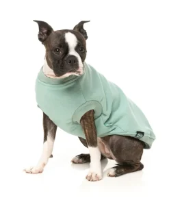 FuzzYard Allday Sweater - Mint