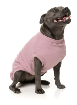 FuzzYard Allday Sweater - Purple