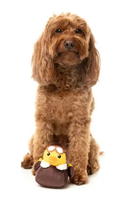 FuzzYard Amelia Quackhart - Dog Toy