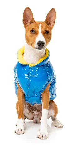 FuzzYard Amor Puffer Jacket - Cobalt Blue