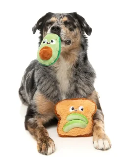 FuzzYard Avocado & Toast 2PK - Dog Toy