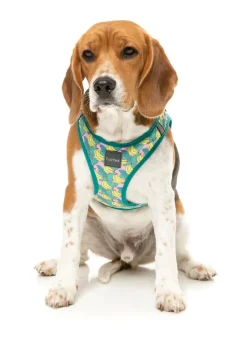 FuzzYard Bananarama - Step In Harness