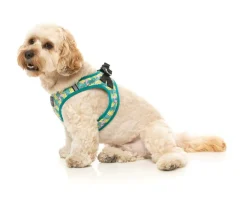 FuzzYard Bananarama - Step In Harness