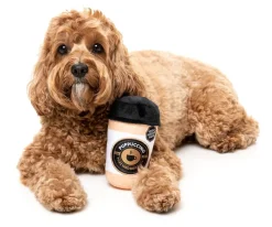 FuzzYard Barkrista Puppuccino - Dog Toy