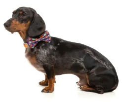 FuzzYard Be My Ghoul - Bowtie