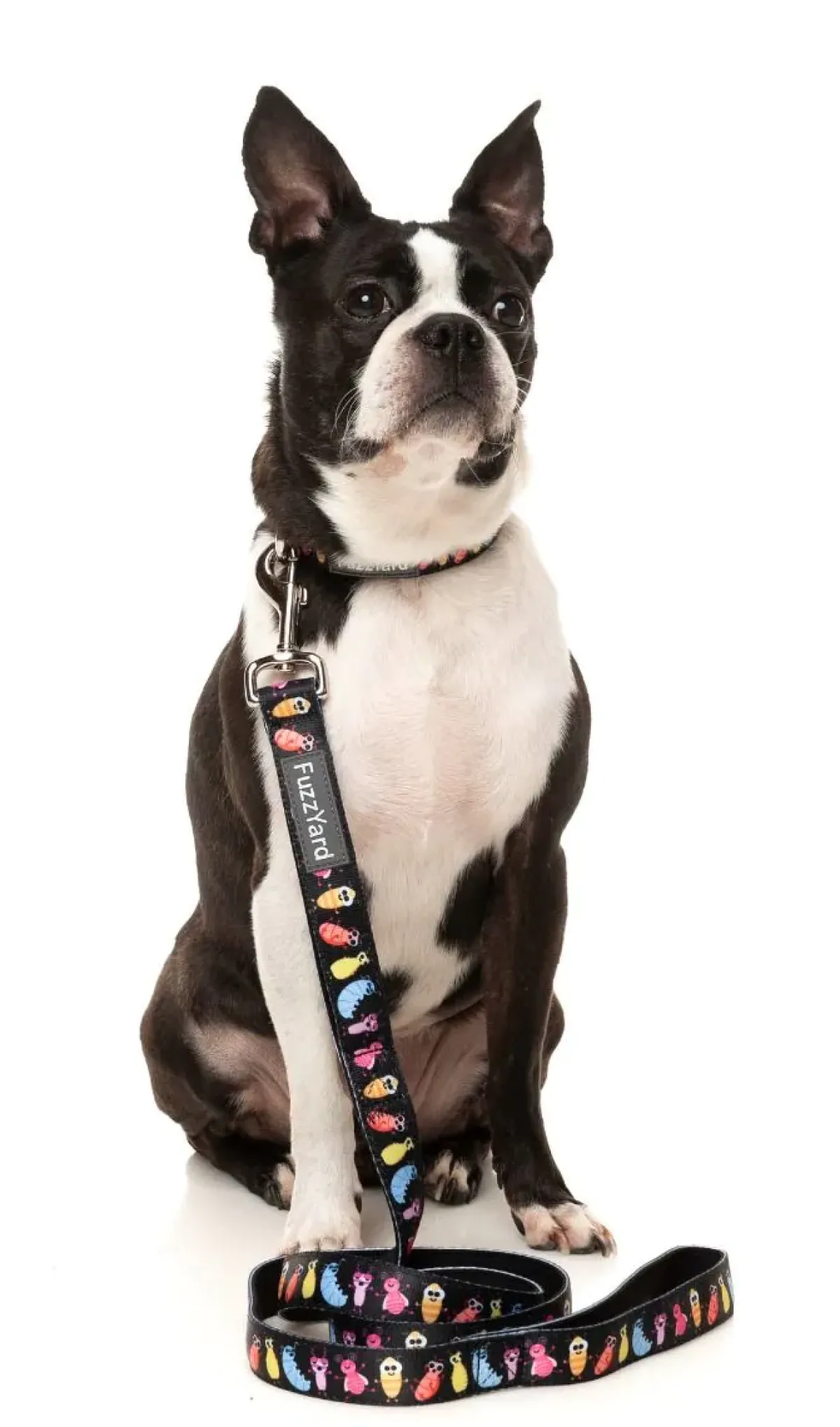 FuzzYard Bed Bugs - Dog Collar