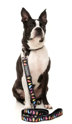 FuzzYard Bed Bugs - Dog Lead