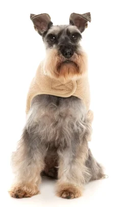 FuzzYard Beige Teddy Wrap Vest