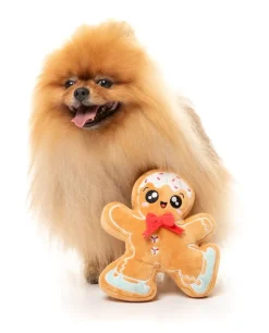 FuzzYard Biscuit Blader - Dog Toy