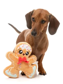 FuzzYard Biscuit Blader - Dog Toy