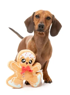 FuzzYard Biscuit Blader - Dog Toy