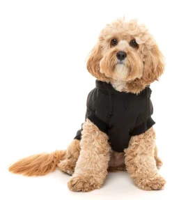 FuzzYard Black Street Hoodie