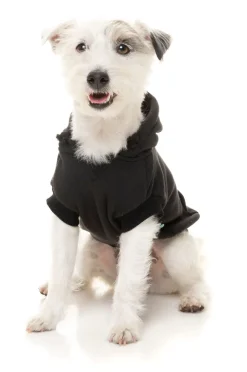 FuzzYard Black Street Hoodie