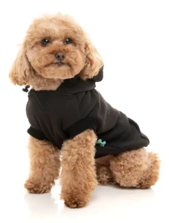 FuzzYard Black Street Hoodie