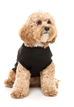 FuzzYard Black Street Sweater