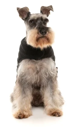 FuzzYard Black Teddy Wrap Vest