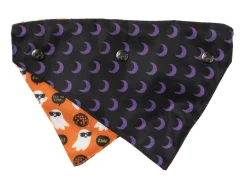 FuzzYard Boogie Nights - Bandana