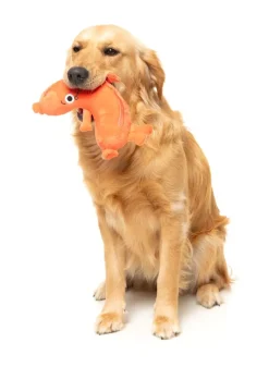 FuzzYard Brad Wurst - Dog Toy