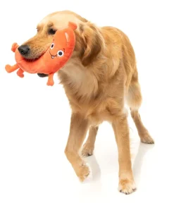 FuzzYard Brad Wurst - Dog Toy