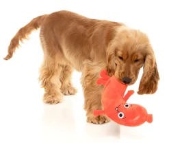 FuzzYard Brad Wurst - Dog Toy