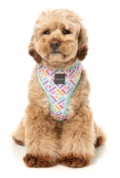 FuzzYard Bubblegum Burst - Dog Harness