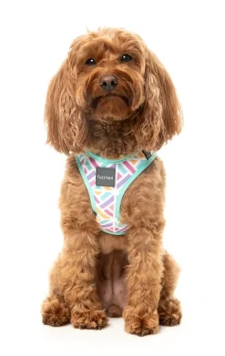 FuzzYard Bubblegum Burst - Dog Step In Harness
