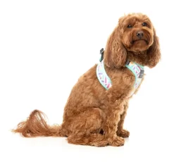 FuzzYard Bubblegum Burst - Dog Step In Harness