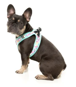 FuzzYard Bubblegum Burst - Dog Step In Harness