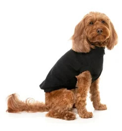 FuzzYard Cambridge Sweater - Black