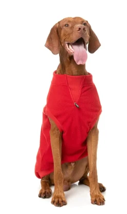 FuzzYard Cambridge Sweater - Red