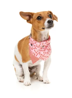 FuzzYard Candy Cane Pink Bandana
