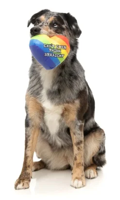 FuzzYard Can't Think Straight - Dog Toy