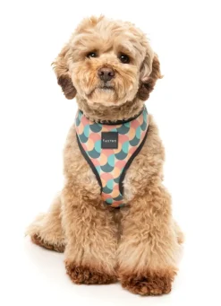 FuzzYard Carioca - Dog Harness