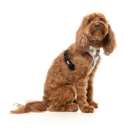 FuzzYard Carioca - Dog Harness