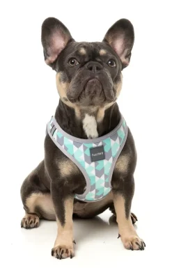 FuzzYard Carioca - Dog Step In Harness