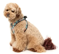 FuzzYard Carioca - Dog Step In Harness