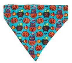 FuzzYard Cat-O-Lanterns - Cat Fashion Pack