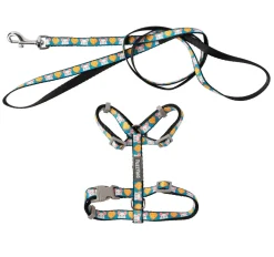 FuzzYard Cheesy Hearts - Cat Walking Set