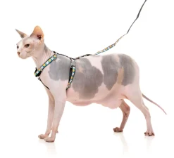 FuzzYard Cheesy Hearts - Cat Walking Set